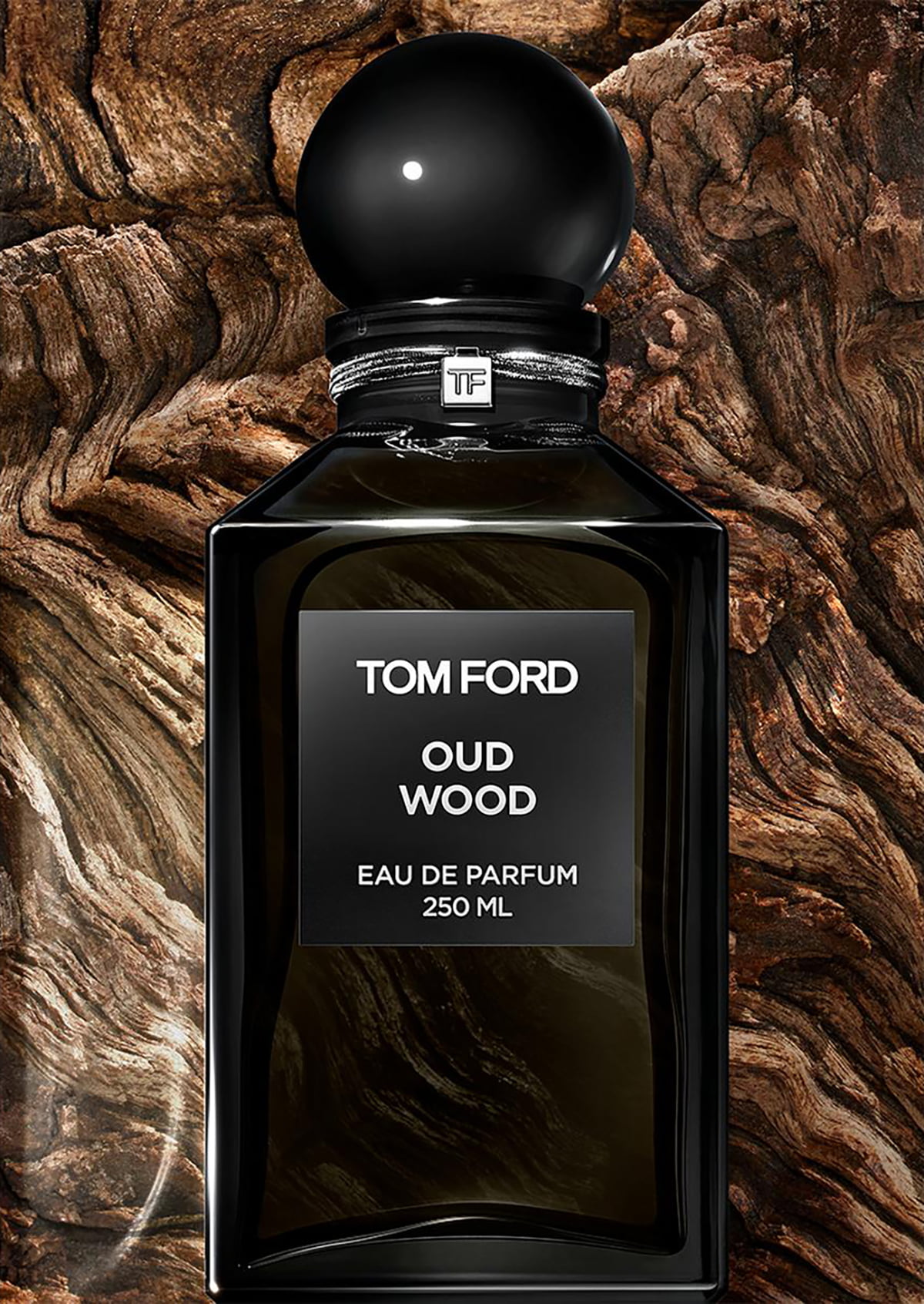 15 Best Cologne for Men Who Seek that Special Fragrance in 2022